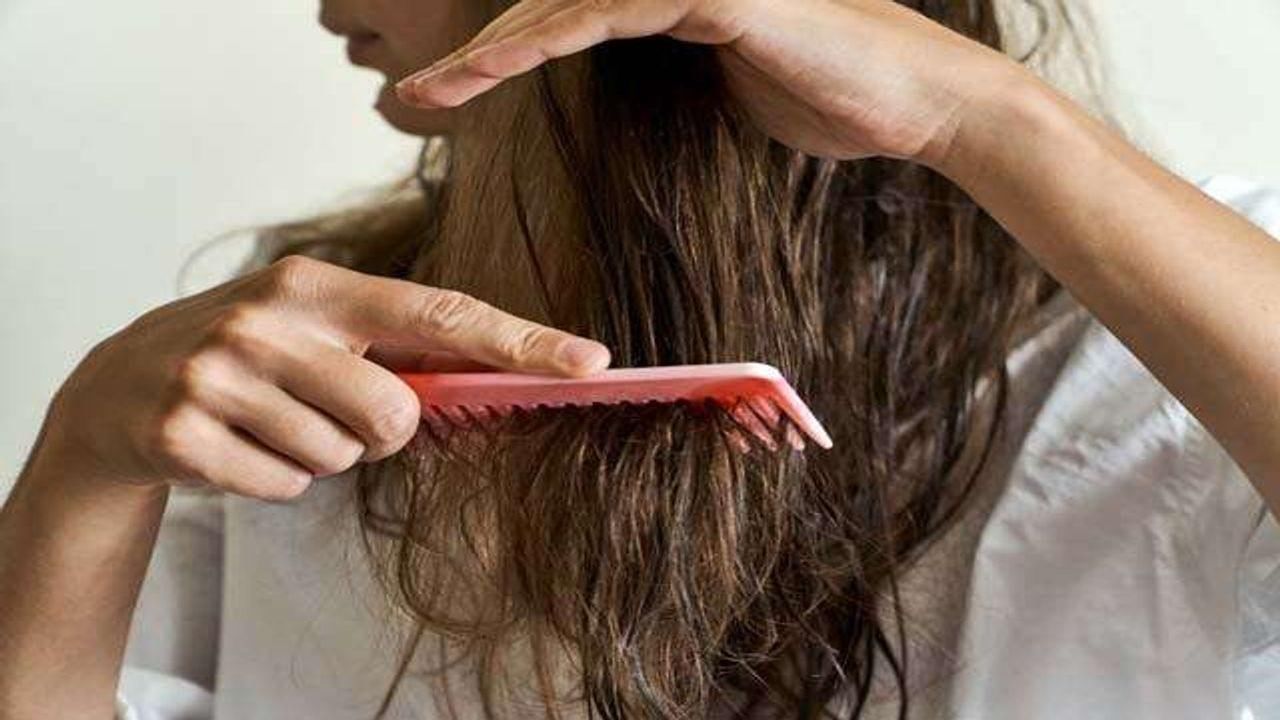 Hair Care Tips : ચોમાસામાં વાળની કાળજી છે ખુબ જ જરૂરી, આ ઘરેલુ ઉપાય અજમાવી શકો છો