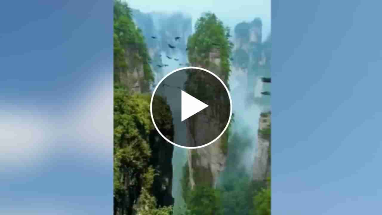 Beautiful Viral Video : ખરેખર અહીં Avatar ફિલ્મનું શૂટિંગ તો નથી થયું ને...!!!? તો જૂઓ મંત્રમુગ્ધ કરતો વીડિયો