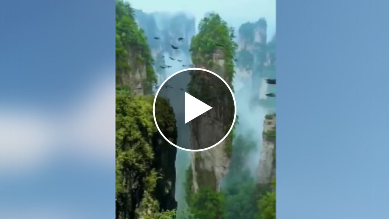 Beautiful Viral Video : ખરેખર અહીં 'Avatar' ફિલ્મનું શૂટિંગ તો નથી થયું ને...!!!? તો જૂઓ મંત્રમુગ્ધ કરતો વીડિયો