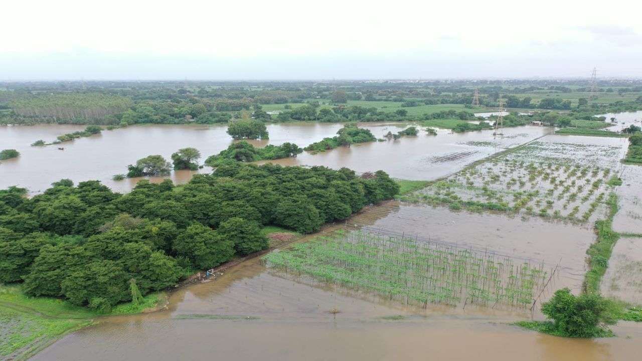 Gir Somanth:  વરસાદને પગલે ખેડૂતોને લીલા દુકાળનો ભય, અમરેલીમાં સુરવો ડેમ 100 ટકા ભરાયો