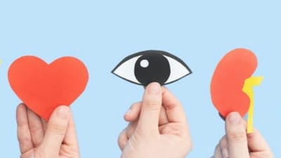 Bhavnagar: જિલ્લામાં અત્યાર સુધી 10,282 વ્યક્તિઓ દ્વારા થયું ચક્ષુદાન, અંગદાન અંગે આવી છે જાગૃતિ