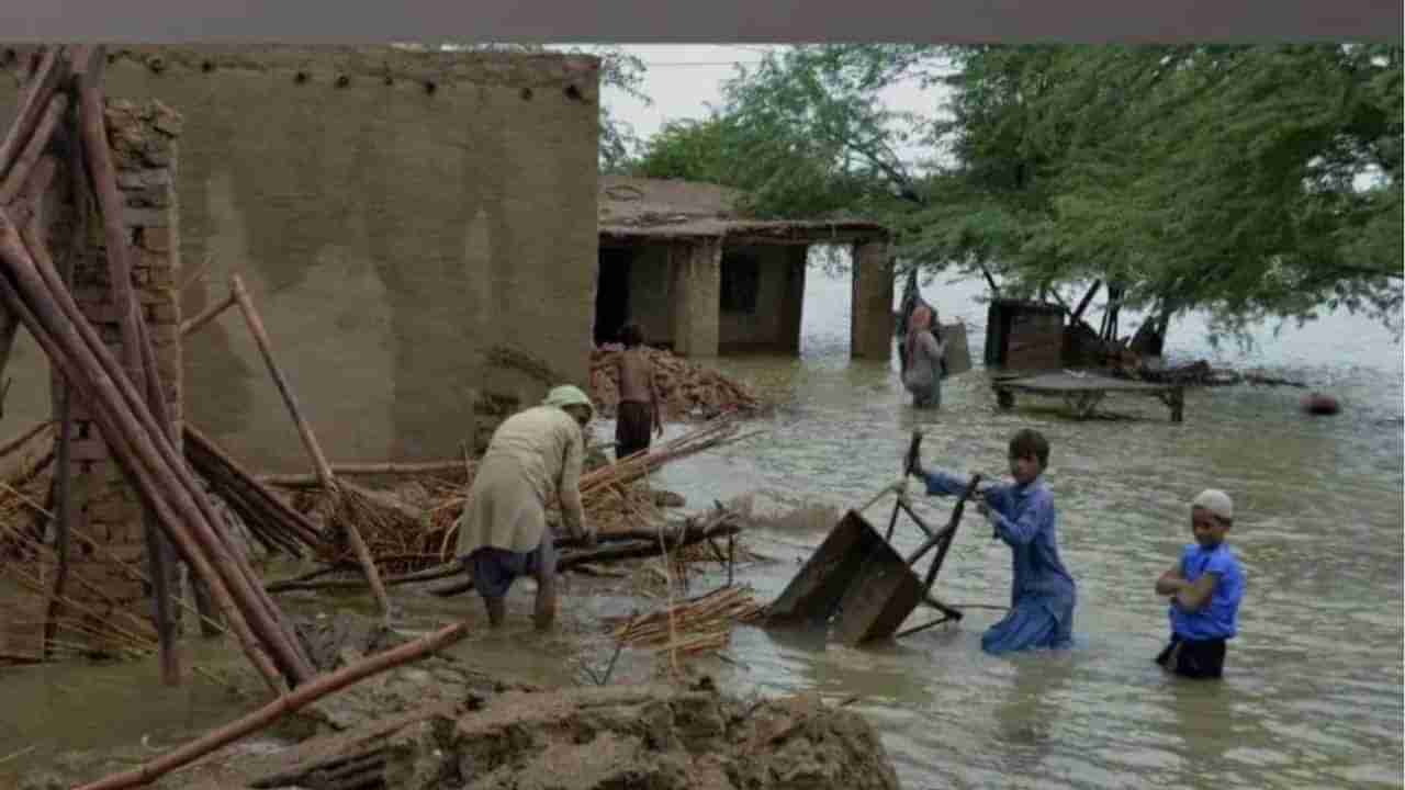 Pakistan Flood: 3 કરોડ લોકો પ્રભાવિત - 982 માર્યા ગયા, પાકિસ્તાન 10 વર્ષમાં સૌથી ખરાબ પરિસ્થિતિનો સામનો કરી રહ્યું છે