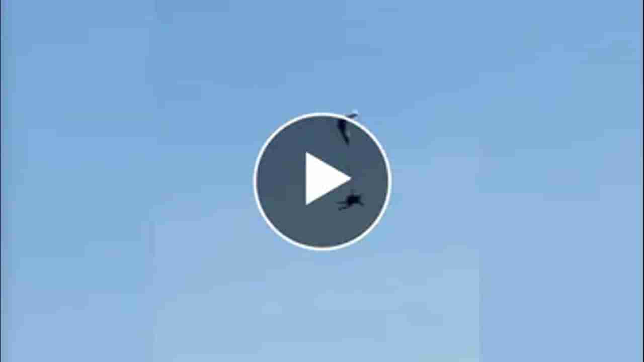 Shocking Video : આને કહેવાય નસીબ..! હવામાં ફસાયું પેરાશૂટ, ખતરનાક ઝડપે નીચે ઉતર્યો સ્કાય ડાઇવર, જુઓ Shocking Video