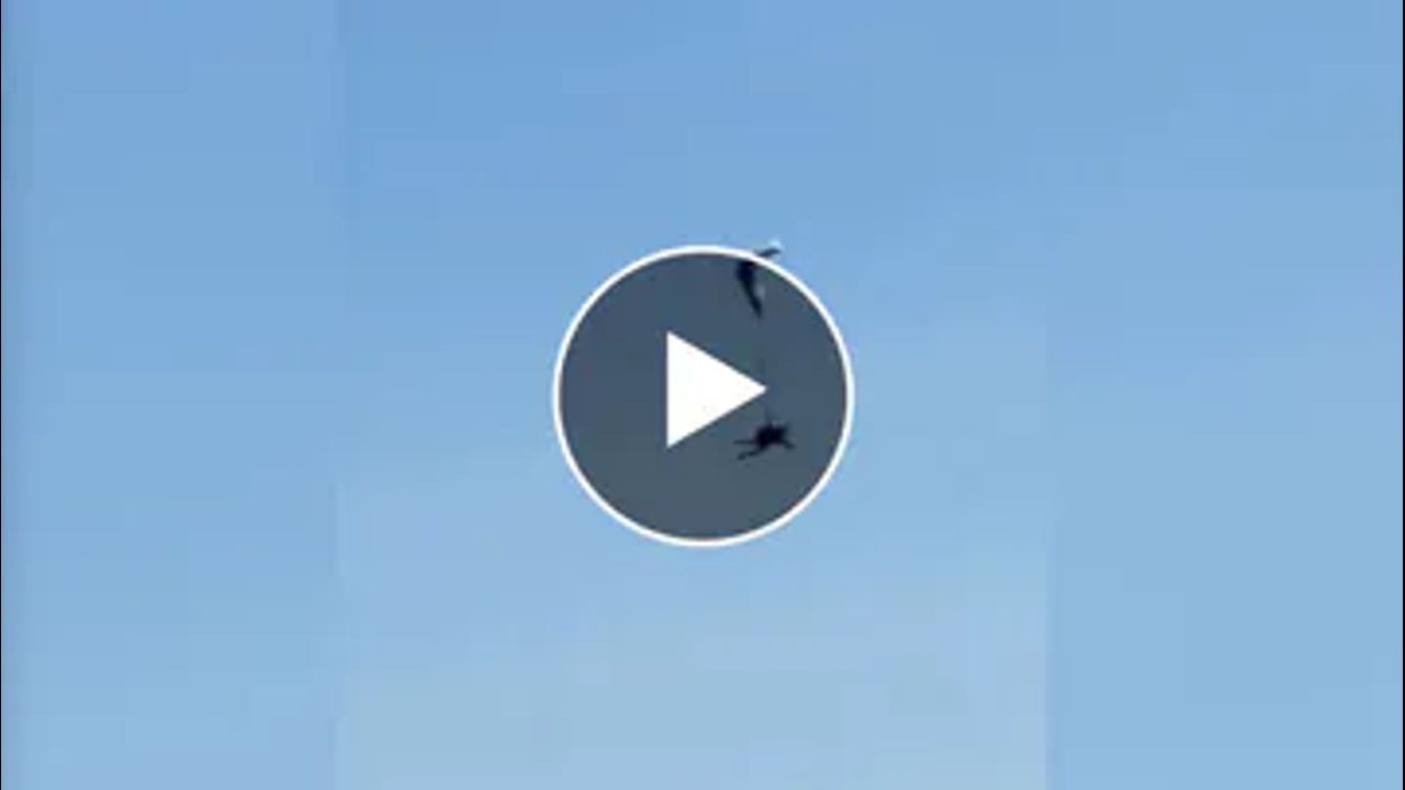 Shocking Video : આને કહેવાય નસીબ..! હવામાં ફસાયું પેરાશૂટ, ખતરનાક ઝડપે નીચે ઉતર્યો સ્કાય ડાઇવર, જુઓ Shocking Video