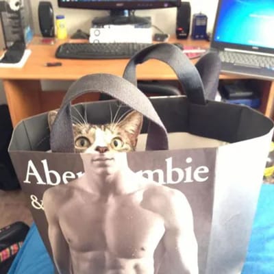 ફોટોગ્રાફીમાં ટાઈમિંગ (Perfect timing) અને એન્ગલ ખૂબ મહત્વ ધરાવે છે. ઘણી વખત ટાઇમિંગ અને એન્ગલ વગર લીધેલા ફોટા આશ્ચર્યજનક હોય છે. અજાણતાં ક્લિક કરાયેલી આ તસવીરો એટલી અદ્દભુત નીકળી હોય છે કે પૂછો જ નહીં. અથવા ફક્ત એમ કહો કે તમે પ્લાનિંગ કર્યા પછી પણ આવા ફોટા નથી લઈ શકતા. તો ચાલો જોઈએ આવા પરફેક્ટ ટાઈમિંગ સાથેની તસવીરો. 