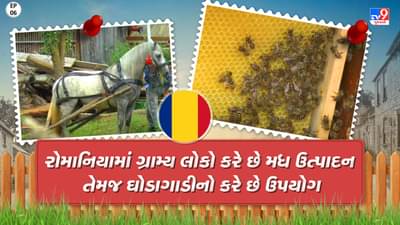 Foreign Villages : રોમાનિયાના ગામડાંઓમાં આ રીતે કરાય છે મધનું ઉત્પાદન, જાણો વિદેશી ખેતી કરવાની રીત....