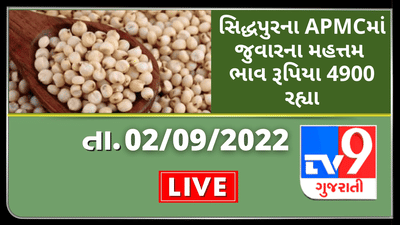 Mandi:સિદ્ધપુરના APMCમાં જુવારના મહત્તમ ભાવ રૂપિયા 4900 રહ્યા,જાણો જુદા-જુદા પાકના ભાવ