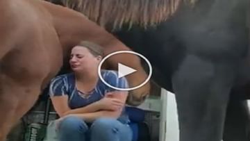 महिला को इमोशनल देख घोड़े ने कुछ इस तरह किया भरोसा, देखें वायरल वीडियो