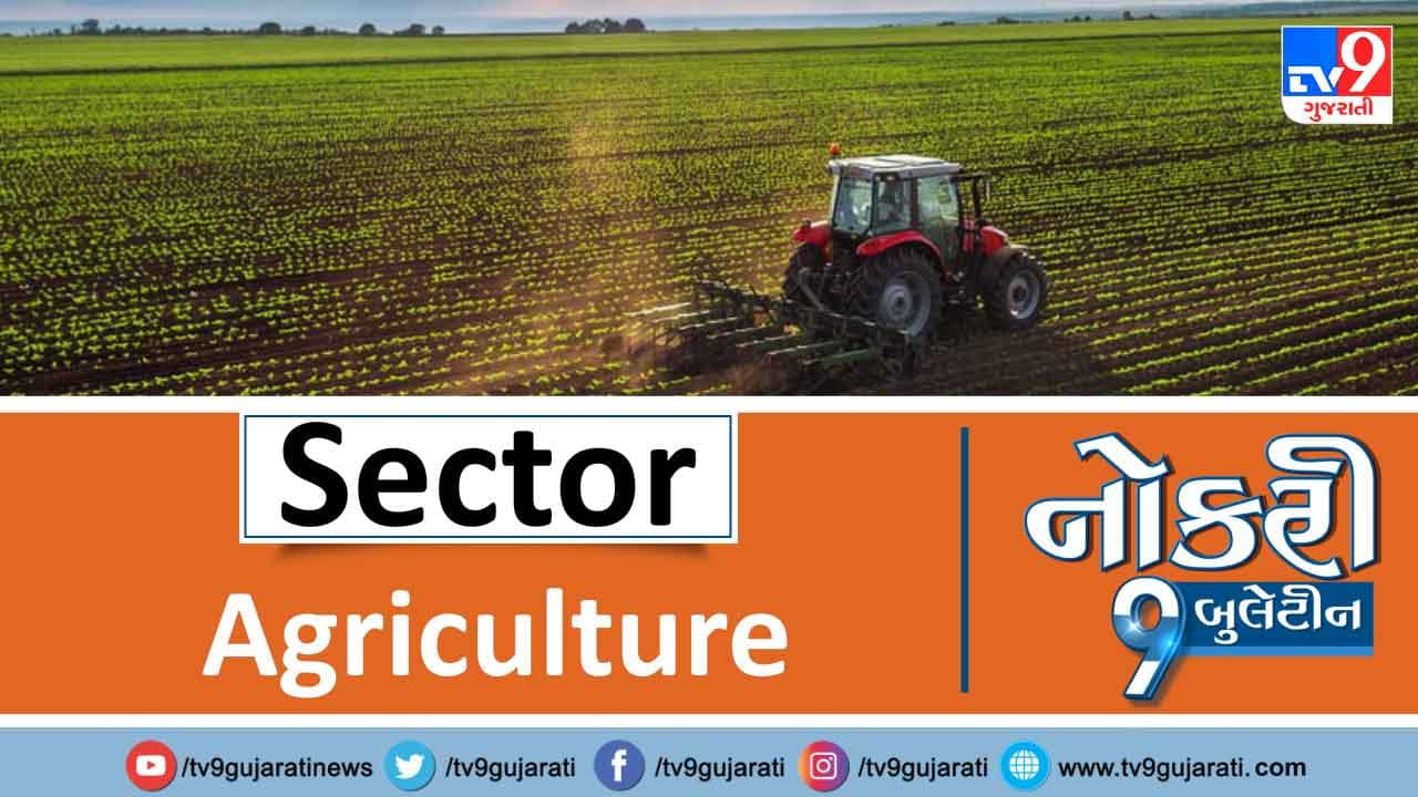 Naukri9 Video: સ્નાતકો માટે એગ્રીકલ્ચર ક્ષેત્રમાં બહાર પડી નોકરીઓ, મળશે મહિને 83,000થી વધુ પગાર