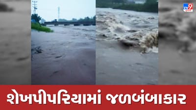 Amreli : મેઘાની ધમાકેદાર બેટિંગ, ભારે વરસાદના પગલે શેખ પીપરિયામાં જળબંબાકારની સ્થિતિ