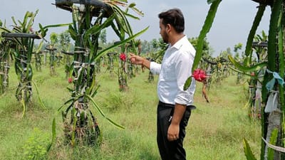 Success Story : એન્જિનિયરની નોકરી છોડીને UPના અતુલે શરૂ કરી ખેતી, ઉજ્જડ જમીનમાંથી કરી લાખોની કમાણી