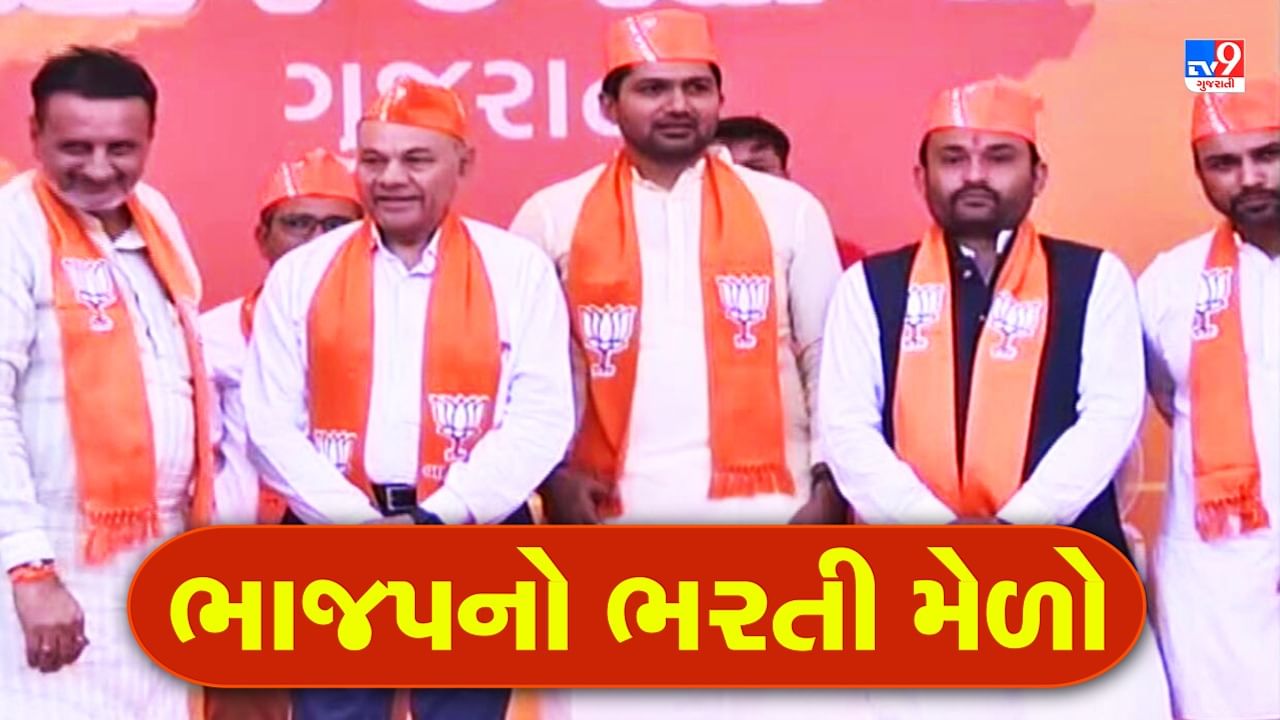 Gujarat Election 2022: વિશ્વનાથ વાઘેલા કોંગ્રેસ છોડી ભાજપમાં જોડાયા, યુથ કોંગ્રેસ અને NSUIના કાર્યકરોના પણ કેસરિયા