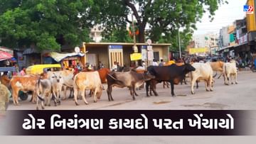 ગુજરાત વિધાનસભામાં સર્વ સંંમત્તિથી ઢોર નિયંત્રણ કાયદો પરત લેવાયો, રાજ્ય સરકારના પ્રવકત્તા જીતુ વાઘાણીએ કરી જાહેરાત