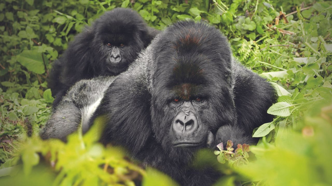 આ Gen X સ્માર્ટફોનની આદતો તમને પરેશાન કરશે!