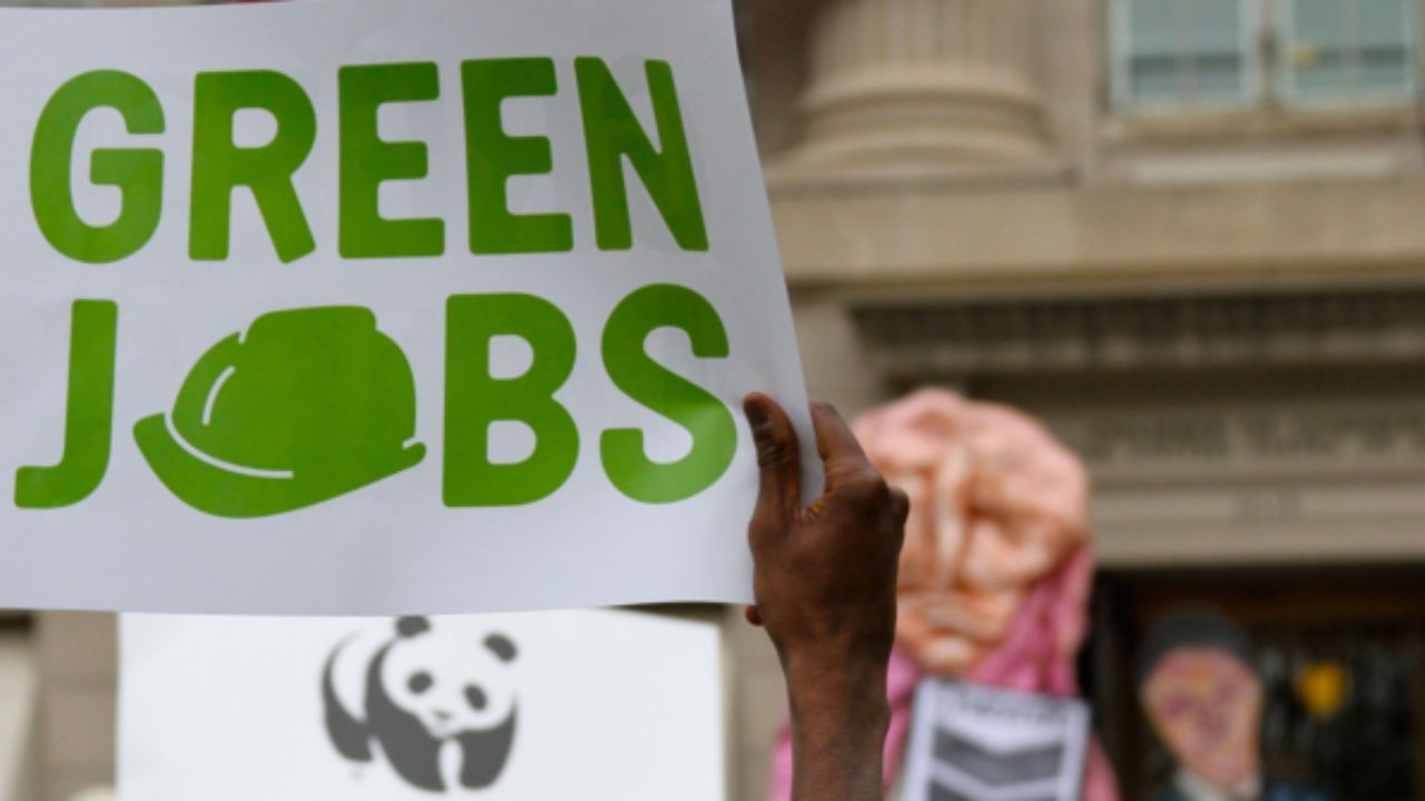 શું છે Green Job? ભારતે વર્ષભરમાં 8 લાખથી વધારે લોકોને આપી નોકરી