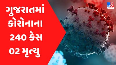 ગુજરાતમાં કોરોનાના નવા 240 કેસ, બે લોકોના મૃત્યુ, 98 દર્દીઓ સાજા થયા