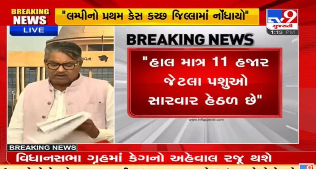 ગુજરાતમાં લમ્પી વાયરસના વળતાં પાણી, રાજ્યમાં માત્ર 11,000 કેસ