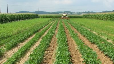 Mehsana : આઇખેડૂત પોર્ટલમાંથી બાગાયતી કૃષિના લાભો લેવા ખેડૂતોને અપીલ કરાઇ