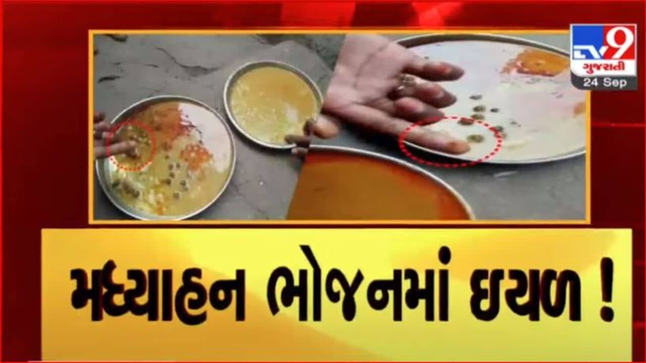 Tapi: મધ્યાહન ભોજનમાં ઇયળો નીકળતા વાલીઓનો હોબાળો, મામલતદારે મધ્યાહન ભોજન સંચાલિકાને ફટકારી નોટિસ