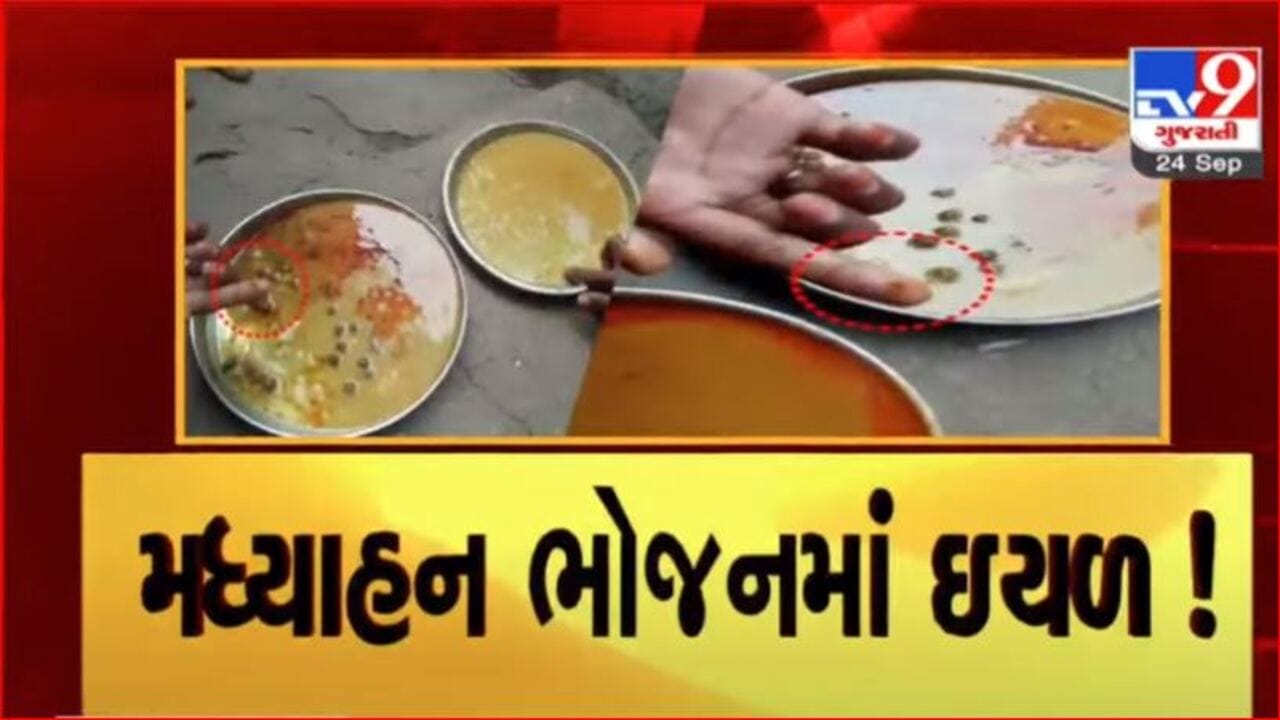 Tapi: મધ્યાહન ભોજનમાં ઇયળો નીકળતા વાલીઓનો હોબાળો, મામલતદારે મધ્યાહન ભોજન સંચાલિકાને ફટકારી નોટિસ Tapi: મધ્યાહન ભોજનમાં ઇયળો નીકળતા વાલીઓનો હોબાળો, મામલતદારે મધ્યાહન ભોજન સંચાલિકાને ફટકારી નોટિસ