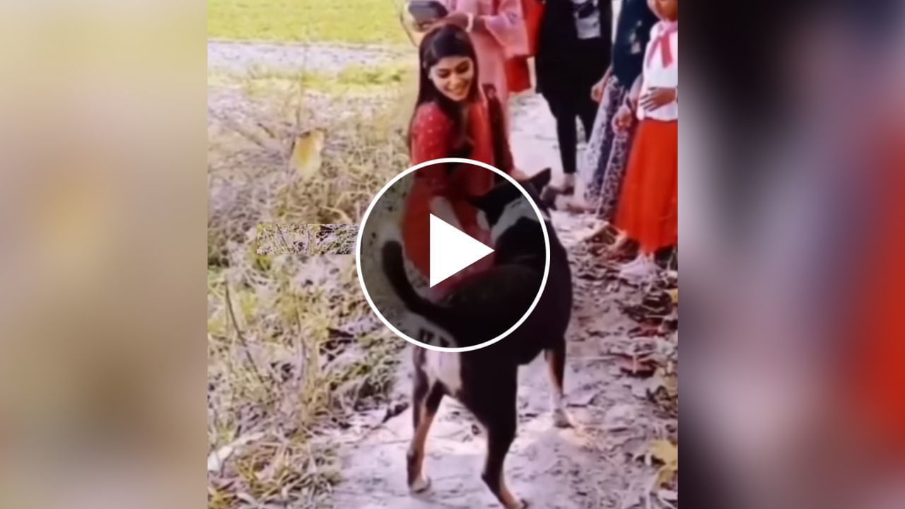 Viral Video: 'કાલા ચશ્મા' પર કૂતરા સામે જબરદસ્ત ડાન્સ કરતી 'બસંતી', લોકોએ કહ્યું- વાહ દીદી! જુઓ વીડિયો