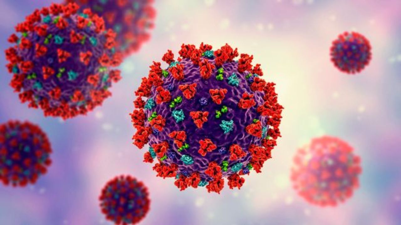 નવી આફતનો પ્રવેશ ! રશિયન ચામાચીડિયામાં મળ્યો 'કોવિડ વાયરસ', વર્તમાન રસી અસરકારક નથી