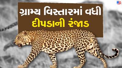 Junagadh : દીપડાએ 7 વર્ષની બાળકીનો શિકાર કરતા સમગ્ર પંથકમાં અરેરાટી વ્યાપી