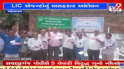 Mehsana: વડનગરમાં LIC એજન્ટો અસહકાર આંદોલન પર ઉતર્યા, વિવિધ પડતર માગને લઈ કરાયો વિરોધ