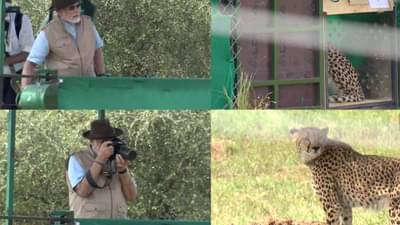 PM મોદીએ કહ્યું- આજે સદીઓ જૂની કડીઓ જોડવાનો મોકો મળ્યો, કુનો નેશનલ પાર્કમાં ચિત્તાઓ ફરે છે