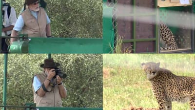 PM મોદીએ કહ્યું- આજે સદીઓ જૂની કડીઓ જોડવાનો મોકો મળ્યો, કુનો નેશનલ પાર્કમાં ચિત્તાઓ ફરે છે