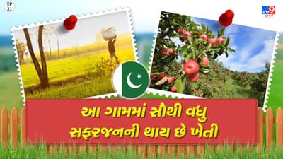 Foreign Villages: આ ગામના લોકો પુષ્કળ પ્રમાણમાં કરે છે સફરજનની ખેતી, જુઓ વીડિયો