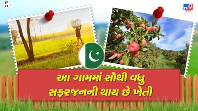 Foreign Villages: આ ગામના લોકો પુષ્કળ પ્રમાણમાં કરે છે સફરજનની ખેતી, જુઓ વીડિયો