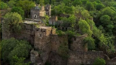 મધ્યપ્રદેશનું કુનો નેશનલ પાર્ક નામીબિયાના ચિત્તાઓને કારણે ચર્ચામાં છે. આ રાજ્યમાં હરિયાળી અને સુંદર નજારો સાથે ઘણા રાષ્ટ્રીય ઉદ્યાનો છે, પરંતુ આ ચિત્તાઓને કારણે, કુનો નેશનલ પાર્ક સમાચારમાં રહે છે. જાણો આ પાર્ક વિશે કેટલીક રસપ્રદ વાતો...