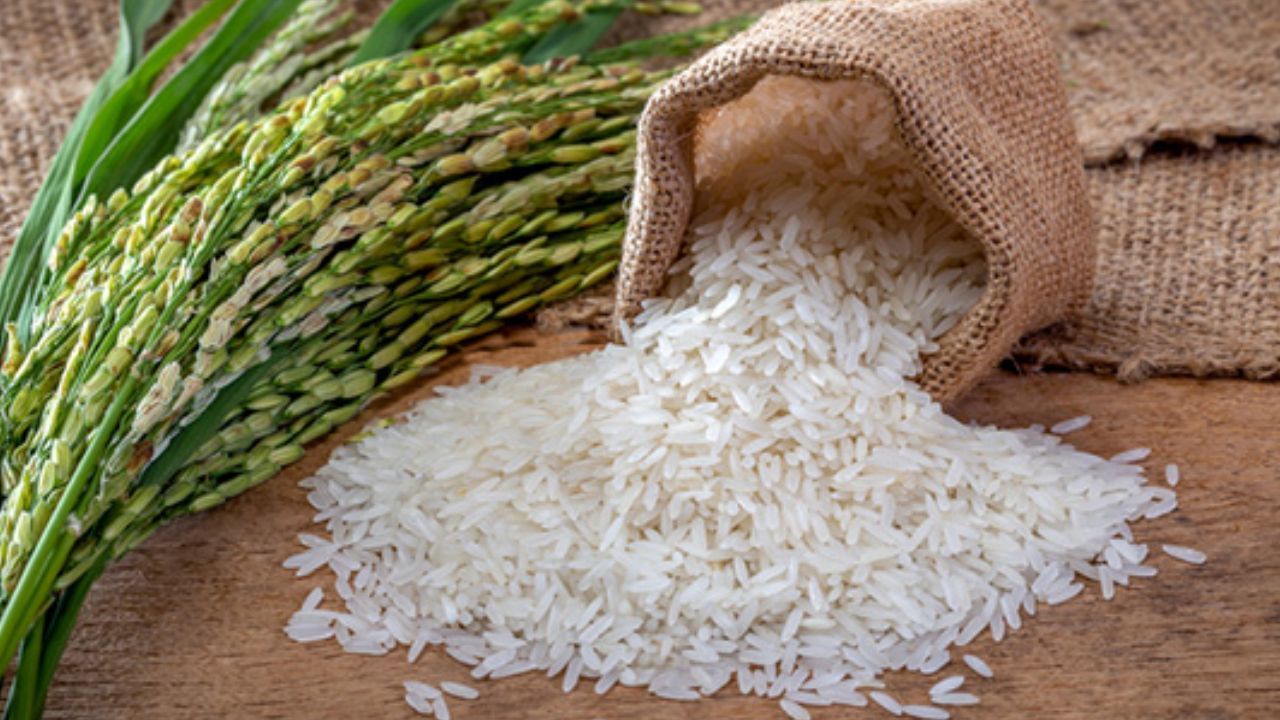 Rice Side Effects: ભાત ખાવાની પણ છે આડઅસરો! જાણો તેનાથી શું થાય છે નુકસાન
