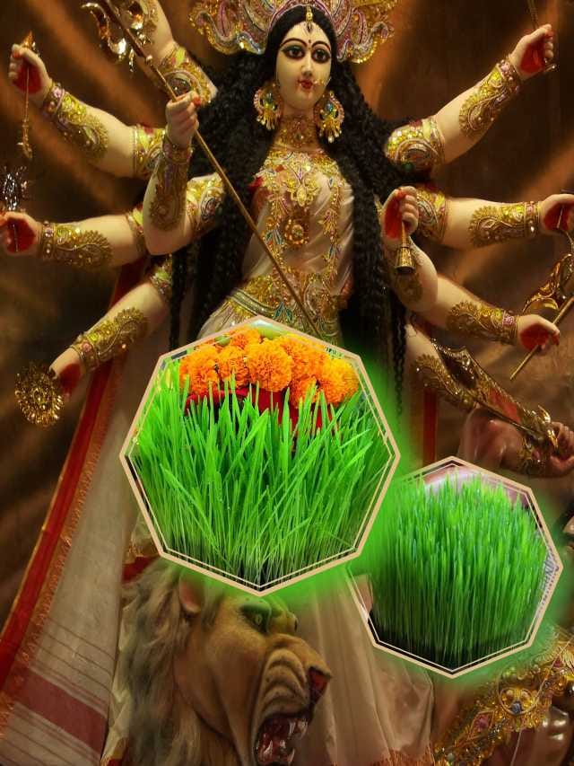 Navratri 2022 : આજથી નવરાત્રીનો પ્રારંભ, જાણો જ્વારા વાવવાનું મહત્ત્વ ...
