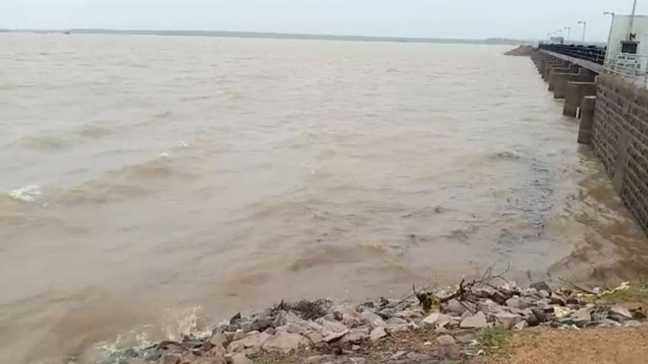 Surendranagar: નર્મદાના પાણીની આવક થતા ધોળી ધજા ડેમ સંપૂર્ણ ભરાયો, હેઠવાસના ગામોને સાવચેત રહેવા સૂચના