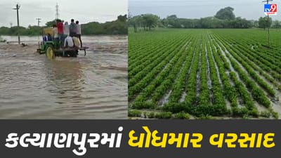 ખંભાળિયા, દ્વારકા અને કલ્યાણપુર પંથકમાં ભારે વરસાદ, ભોગાત ગામે રસ્તા પર નદી વહેતી હોય તેવા દ્રશ્યો સર્જાયા ખંભાળિયા, દ્વારકા અને કલ્યાણપુર પંથકમાં ભારે વરસાદ, ભોગાત ગામે રસ્તા પર નદી વહેતી હોય તેવા દ્રશ્યો સર્જાયા