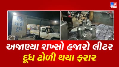 Junagadh: કેશોદની માહી ડેરીમાં દૂધ ઢોળવાની ઘટના, ડેરીમાં અજાણ્યા શખ્સો હજારો લીટર દૂધ ઢોળી થયા ફરાર