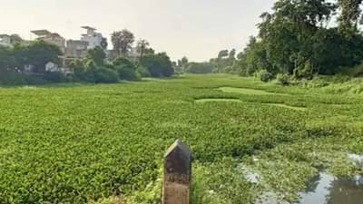 Surat : સ્વચ્છતાના અભાવે ભાઠા ગામના તળાવની ખરાબ હાલત, ગ્રામજનો પણ ફરિયાદ કરીને થાક્યા