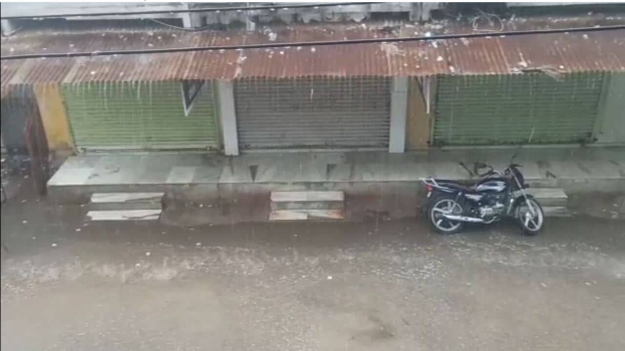 રાજ્યભરમાં મેઘરાજાની ધમાકેદાર બેટિંગ, ડાંગ, દાહોદ અને બનાસકાંઠાના અનેક તાલુકાઓમાં ભારે પવન સાથે વરસાદનું આગમન