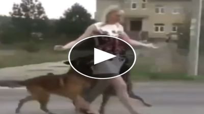 કૂતરાઓએ માલિક સાથે કર્યો ગજબ ડાન્સ, સ્ટેપ્સ જોઈ રહી જશો દંગ, જુઓ આ Viral Video