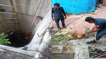 सूरत: दमकल विभाग ने कामराजी में 50 फीट गहरे कुएं में पड़े कुत्ते को बचाया
