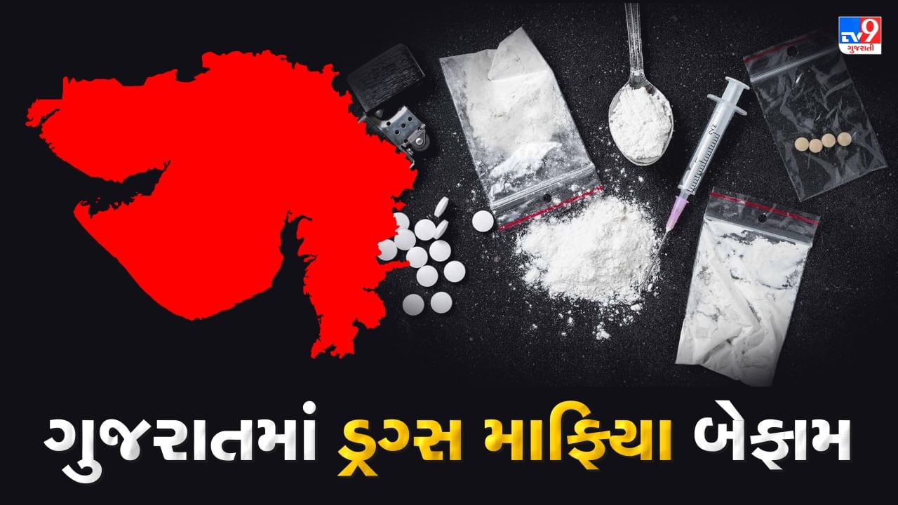એક વર્ષમાં ગુજરાતમાંથી પકડાયુ 52 અબજ રૂપિયાથી વધુની કિંમતનું ડ્રગ્સ, એકલા અમદાવાદમાં જ ક્રાઈમ બ્રાંચે દોઢ કરોડ અને SOGએ 67 લાખનું ડ્રગ્સ કર્યુ કબ્જે
