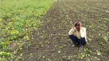 વરસાદના અભાવે ખેડૂતો પરેશાન, લાખો હેક્ટરમાં વાવેલા પાકને નુકસાન