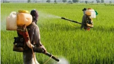 રાસાયણિક ખાતરોમાંથી જલ્દી છુટકારો મળશે, સરકાર PM PRANAM યોજના શરૂ કરશે