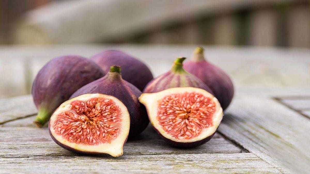 Fig Benefits : પાચનતંત્ર સ્વસ્થ રાખવા અને ઇમ્યુનીટી વધારવાથી લઈને અંજીર ખાવાના જાણો ફાયદા