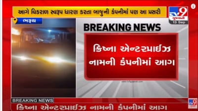 Ankleshwar GIDC માં લાગેલી આગમાં બે કંપનીઓ ભડકે બળી, 10 ફાયરફાઈટરોએ 3 કલાકે આગ ઉપર કાબુ મેળવ્યો