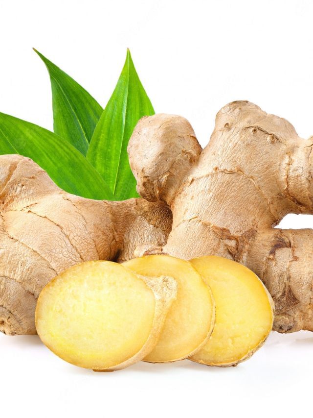 રસોડામાં મળતા આદુના જાણવા જેવા ફાયદા Tv9 Gujarati