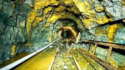 સાઉદી અરેબિયાને મળ્યો મોટો ખજાનો, મદીનામાં માટીમાં દટાયેલું બમ્પર 'સોનું' અને 'તાંબુ' મળ્યું