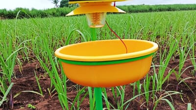 પાકને જીવાતોથી બચાવવા ખેડૂતોએ લાઈટ ટ્રેપનો કરવો જોઈએ ઉપયોગ, જંતુનાશક દવાઓનો ખર્ચ ઘટશે